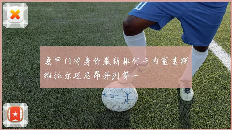 意甲门将身价最新排行卡内塞基斯维拉尔迈尼昂并列第一