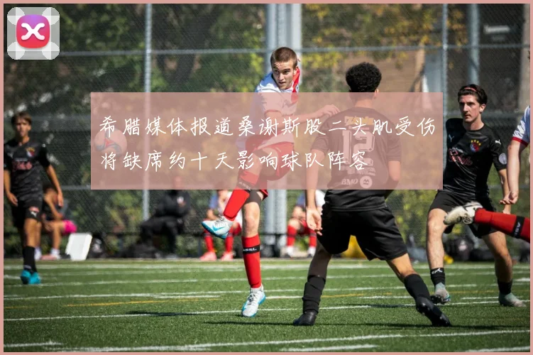 希腊媒体报道桑谢斯股二头肌受伤将缺席约十天影响球队阵容